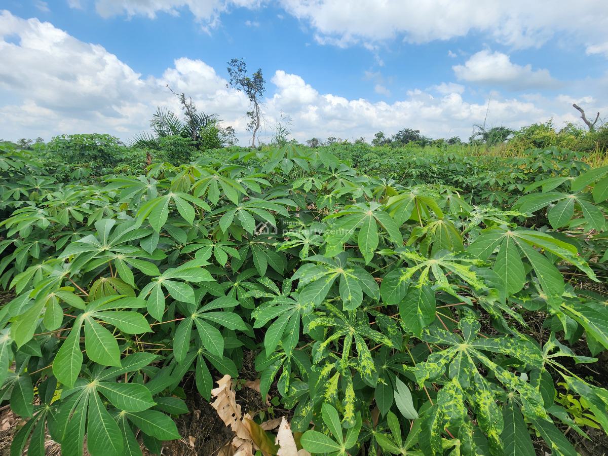 Acres of Farmland with a Promo Offer Suitable for Cassava Plantation, Off Funaab, Alabata Road, Odeda, Ogun, Mixed-use Land for Sale