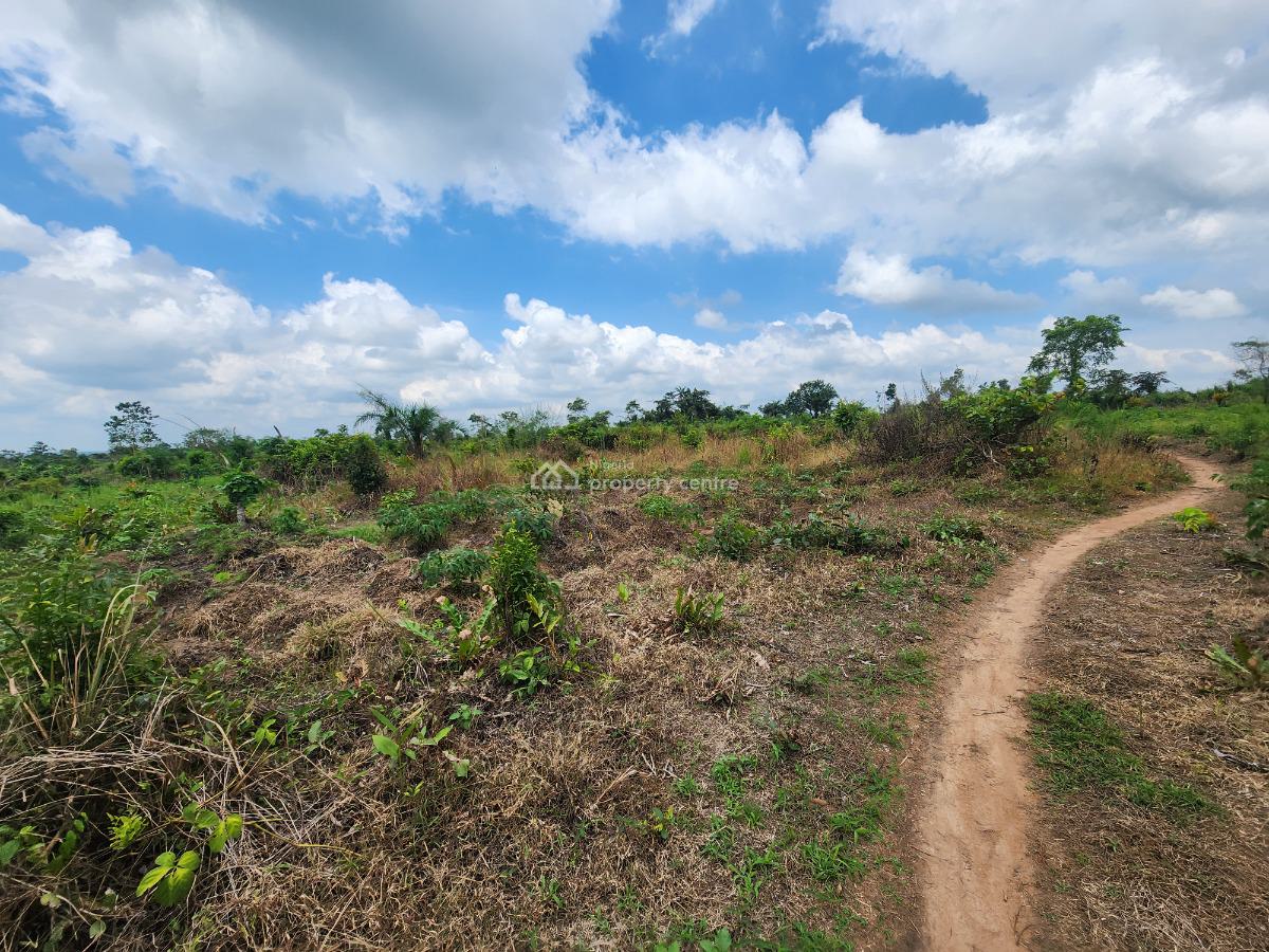 Own Productive Farmland Suitable for Oil Palm Farming, Off Funaab, Alabata Road, Odeda, Ogun, Mixed-use Land for Sale