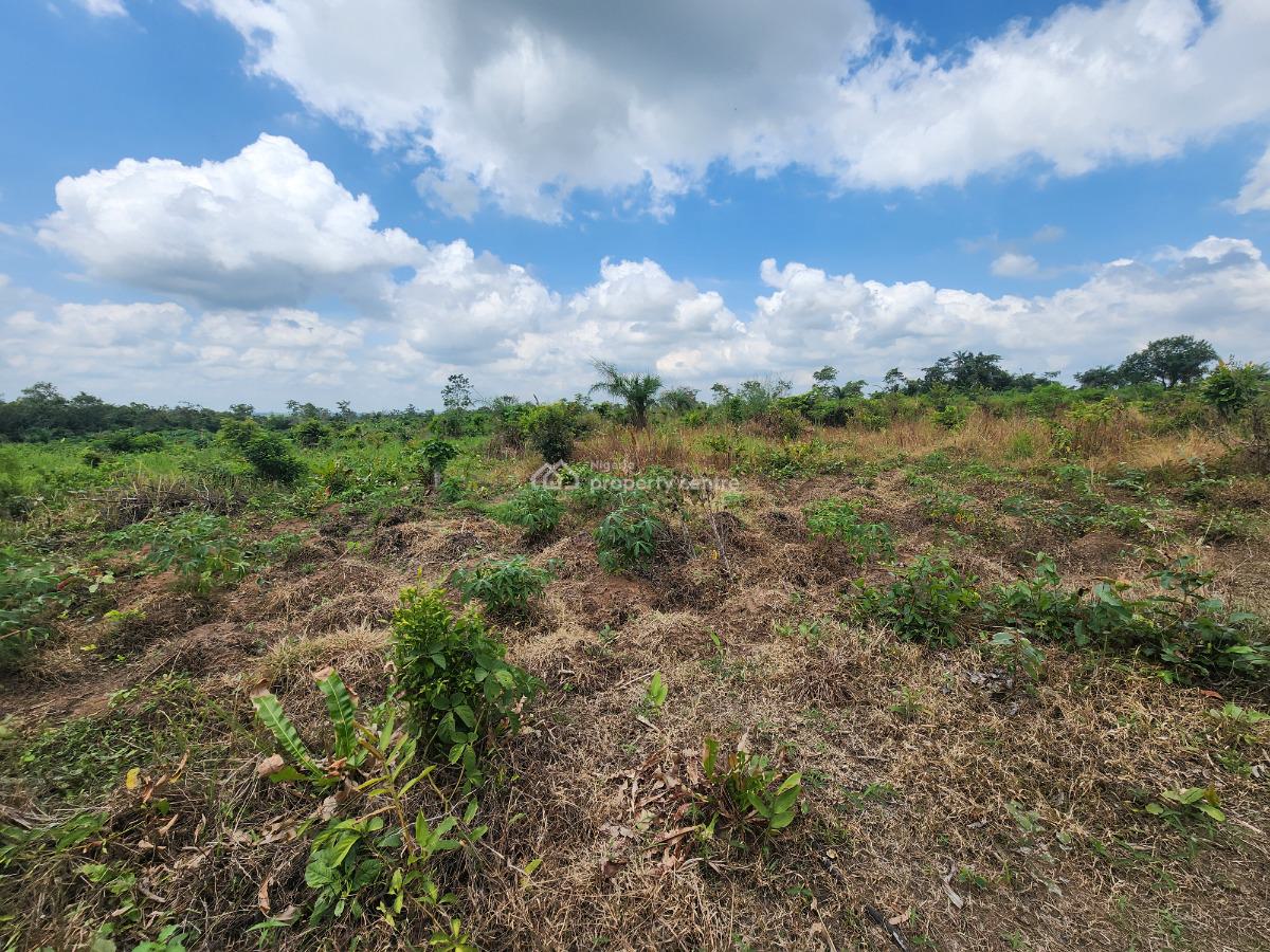 Own Productive Farmland Suitable for Oil Palm Farming, Off Funaab, Alabata Road, Odeda, Ogun, Mixed-use Land for Sale