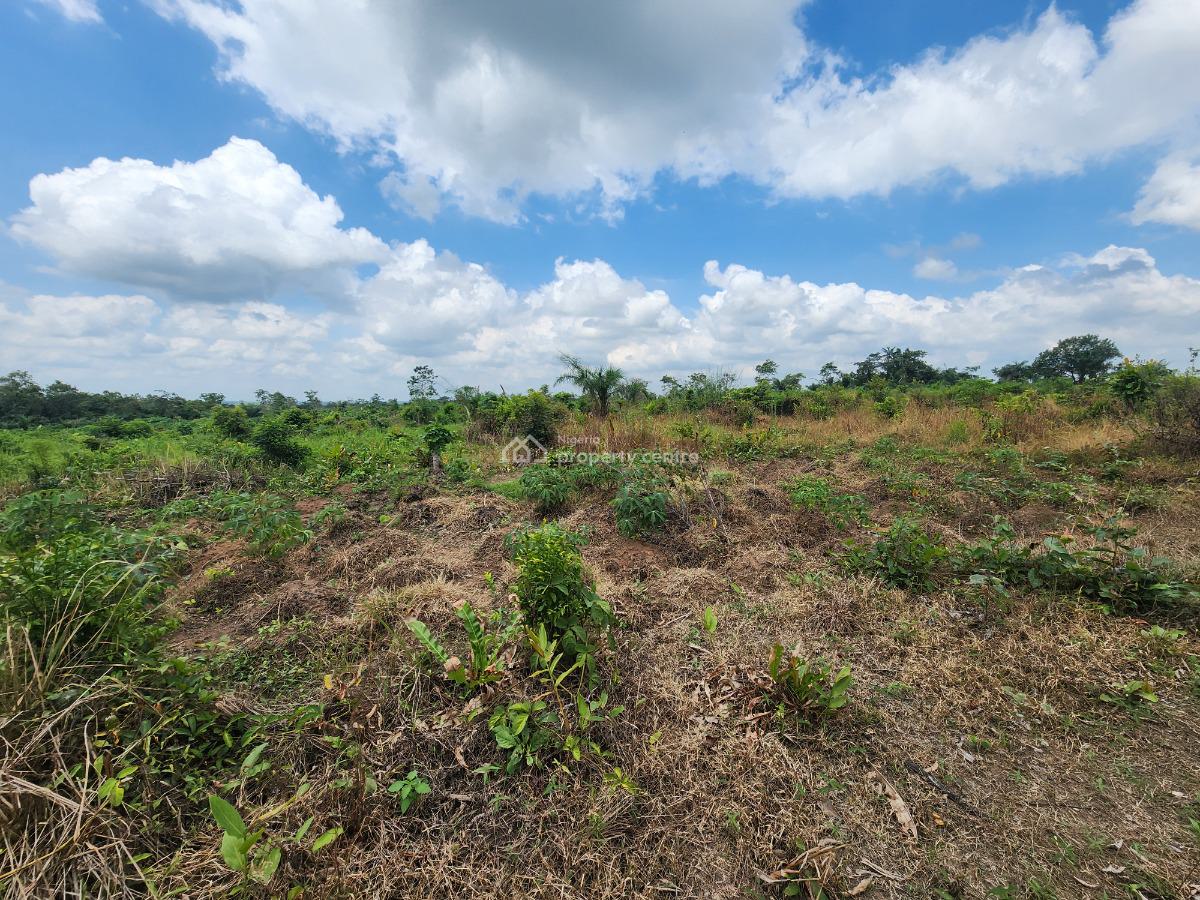Own 100% Fertile Farmland, Ideal for Cashew Farming, Off Funaab, Alabata Road, Odeda, Ogun, Mixed-use Land for Sale