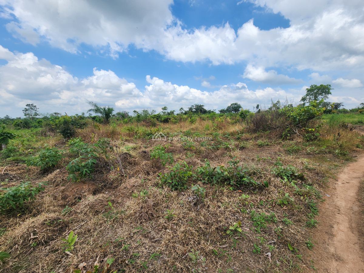 Own 100% Fertile Farmland, Ideal for Cashew Farming, Off Funaab, Alabata Road, Odeda, Ogun, Mixed-use Land for Sale