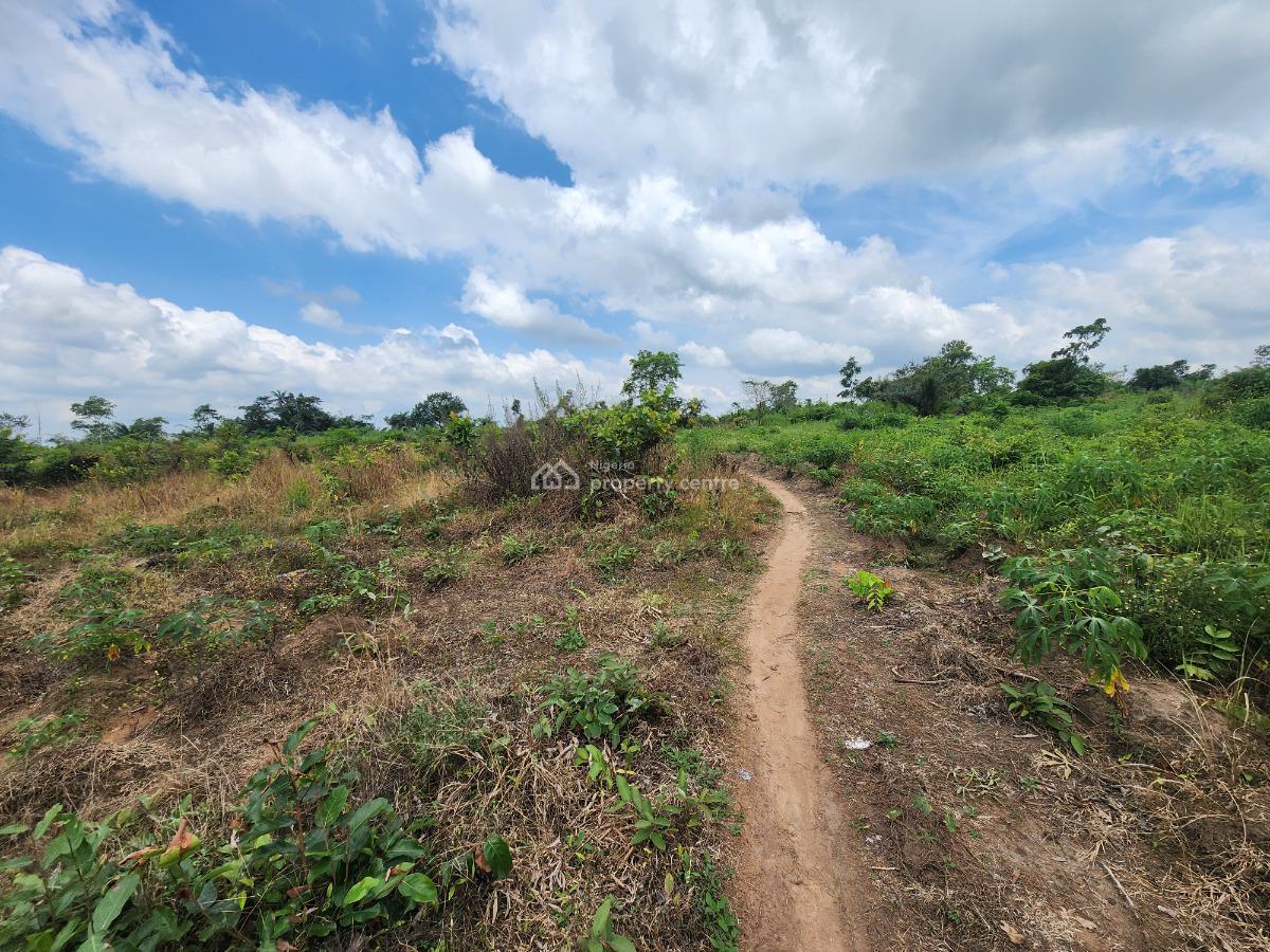 Own 100% Fertile Farmland, Ideal for Cashew Farming, Off Funaab, Alabata Road, Odeda, Ogun, Mixed-use Land for Sale