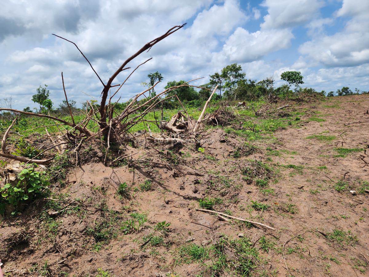 Own Acres of 100% Fertile Land Suitable for Cocoa Farming, Off Funaab, Alabata Road, Odeda, Ogun, Mixed-use Land for Sale