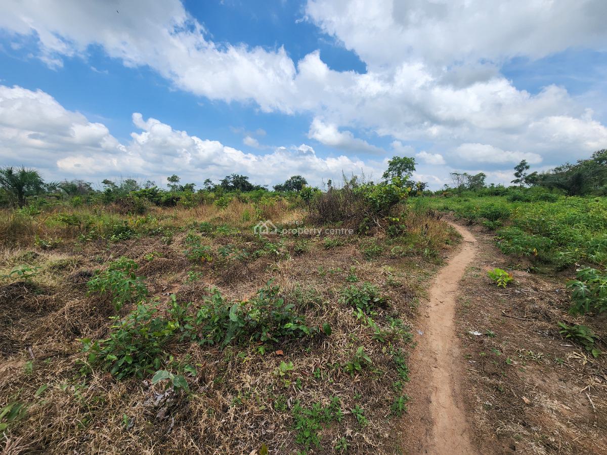 Farm Ownership That Guarantees You Profit Every Season, Off Funaab, Alabata Road, Odeda, Ogun, Mixed-use Land for Sale