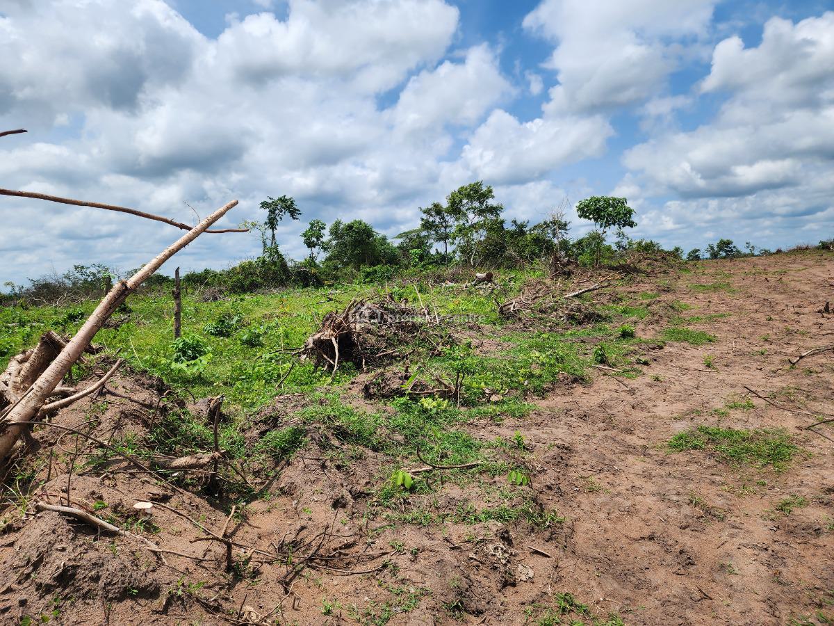 Farm Ownership That Guarantees You Profit Every Season, Off Funaab, Alabata Road, Odeda, Ogun, Mixed-use Land for Sale