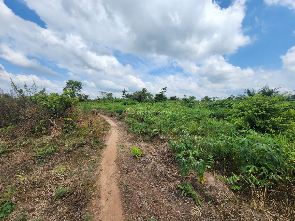Invest Once and Harvest Profits for Years, Off Funaab, Alabata Road, Odeda, Ogun, Mixed-use Land for Sale