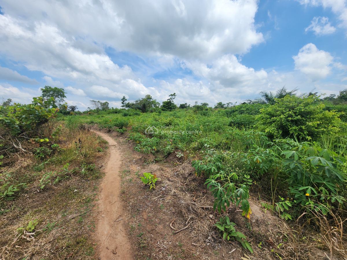 Invest Once and Harvest Profits for Years, Off Funaab, Alabata Road, Odeda, Ogun, Mixed-use Land for Sale
