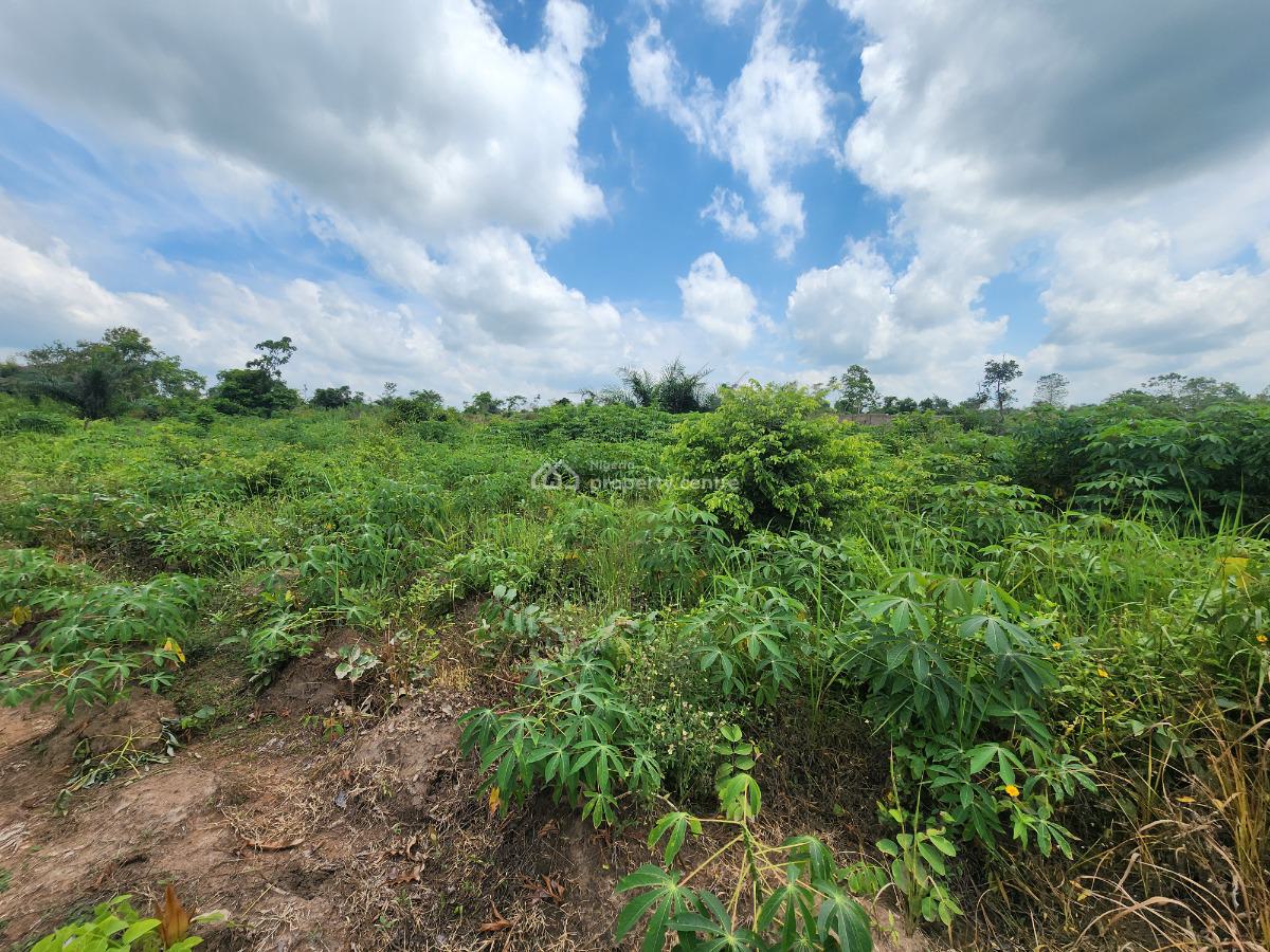 Invest Once and Harvest Profits for Years, Off Funaab, Alabata Road, Odeda, Ogun, Mixed-use Land for Sale