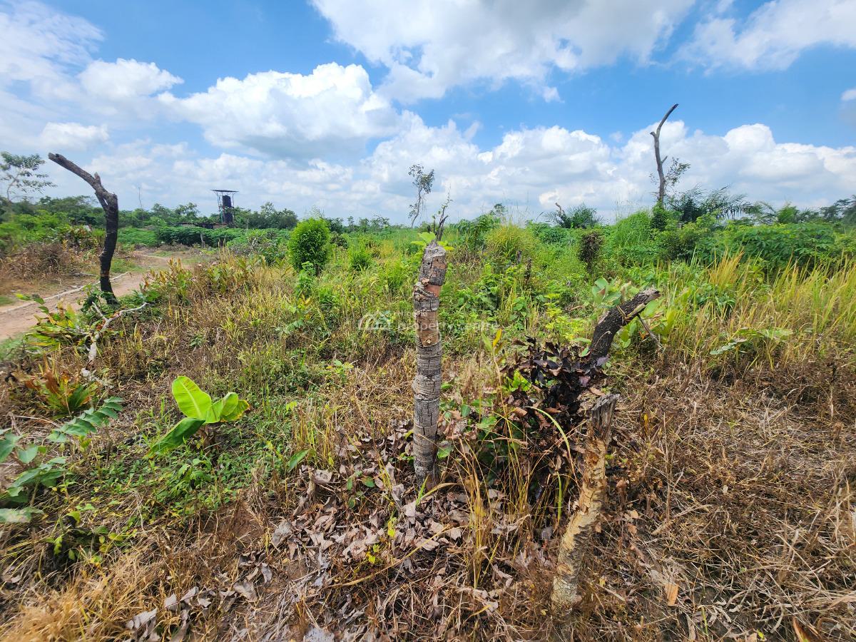 Farm Without Stress and Earn Big Returns, Off Funaab, Alabata Road, Odeda, Ogun, Mixed-use Land for Sale