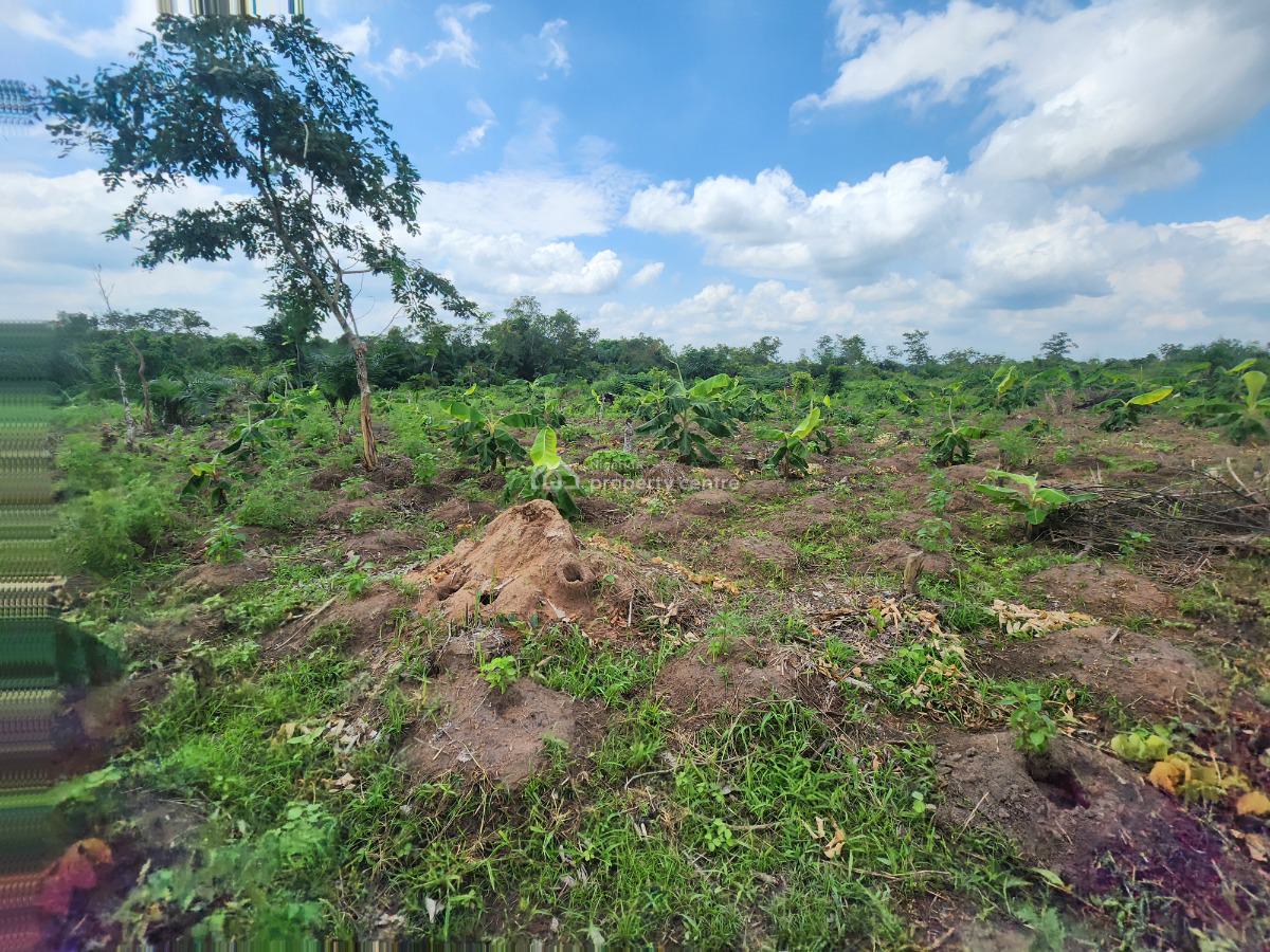 Own 100% Fertile Farmland, Ideal for Plantain Farming, Off Funaab, Alabata Road, Odeda, Ogun, Mixed-use Land for Sale