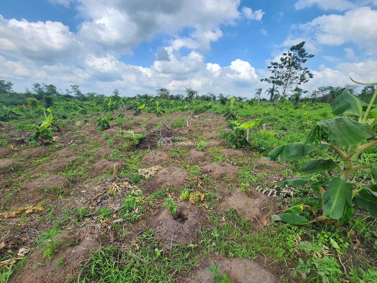 Own 100% Fertile Farmland, Ideal for Plantain Farming, Off Funaab, Alabata Road, Odeda, Ogun, Mixed-use Land for Sale