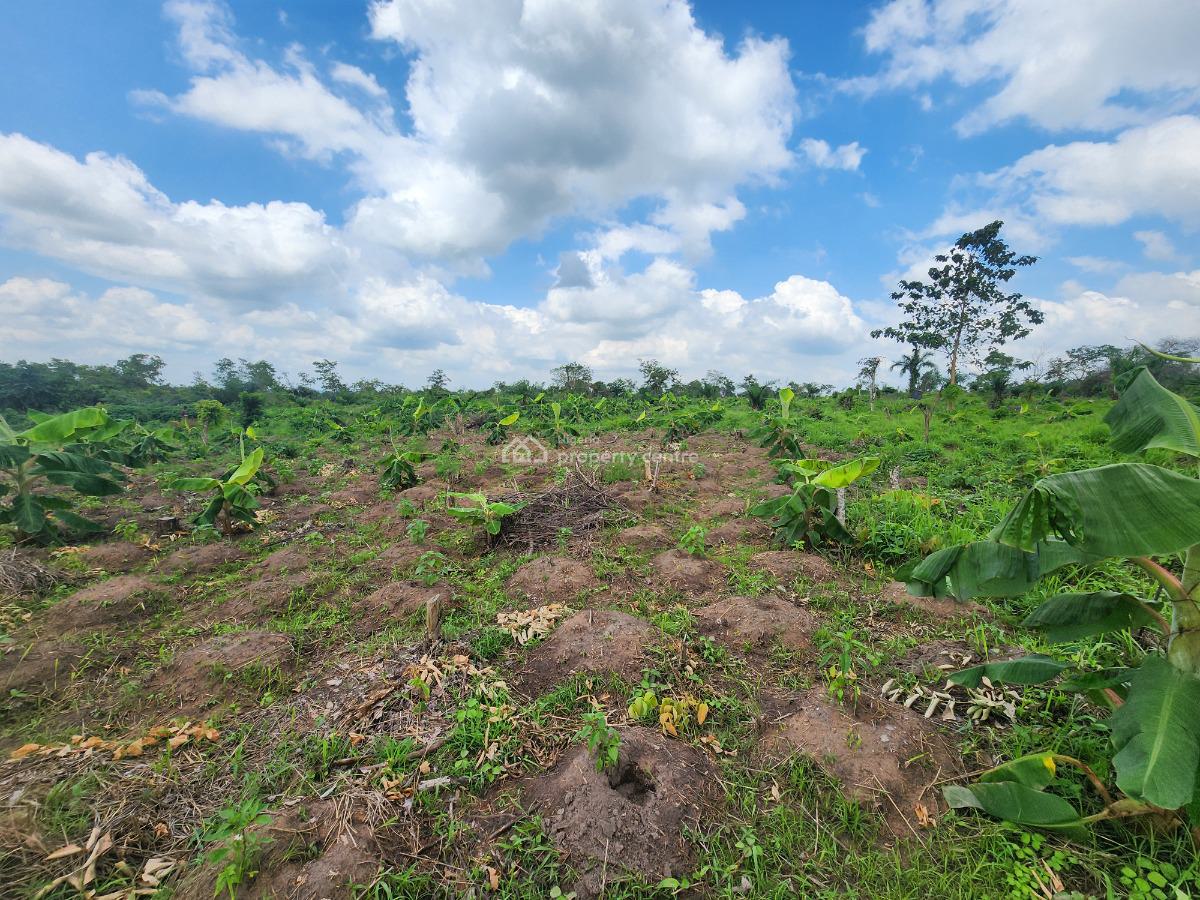 Own 100% Fertile Farmland, Ideal for Plantain Farming, Off Funaab, Alabata Road, Odeda, Ogun, Mixed-use Land for Sale