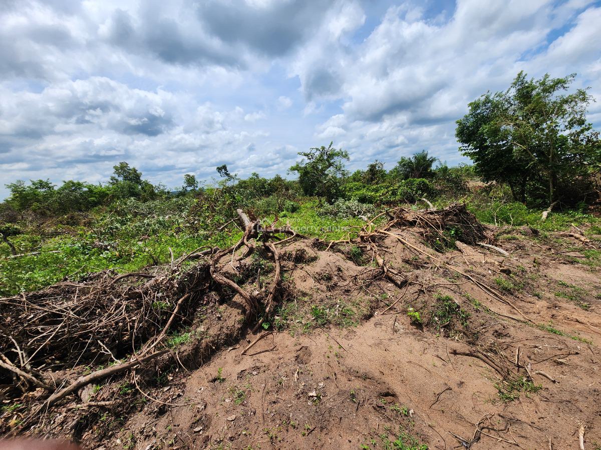 Own Affordable, Fertile Farmland Ideal for Cocoa Farming, Off Funaab, Alabata Road, Odeda, Ogun, Mixed-use Land for Sale