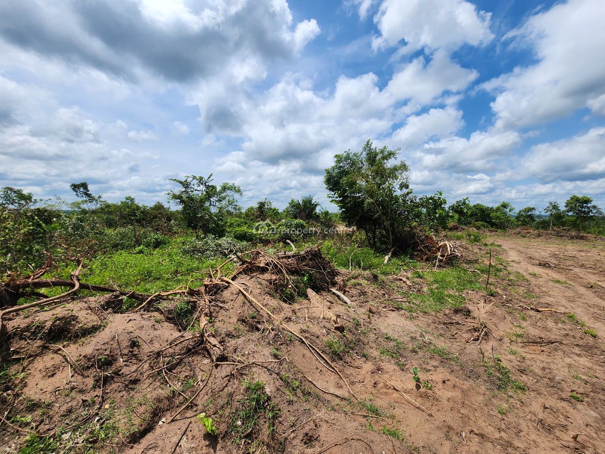 Own Affordable, Fertile Farmland Ideal for Cocoa Farming, Off Funaab, Alabata Road, Odeda, Ogun, Mixed-use Land for Sale
