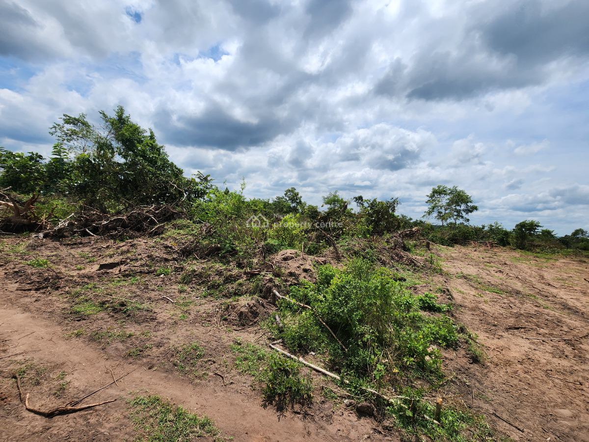 Own Affordable, Fertile Farmland Ideal for Cocoa Farming, Off Funaab, Alabata Road, Odeda, Ogun, Mixed-use Land for Sale