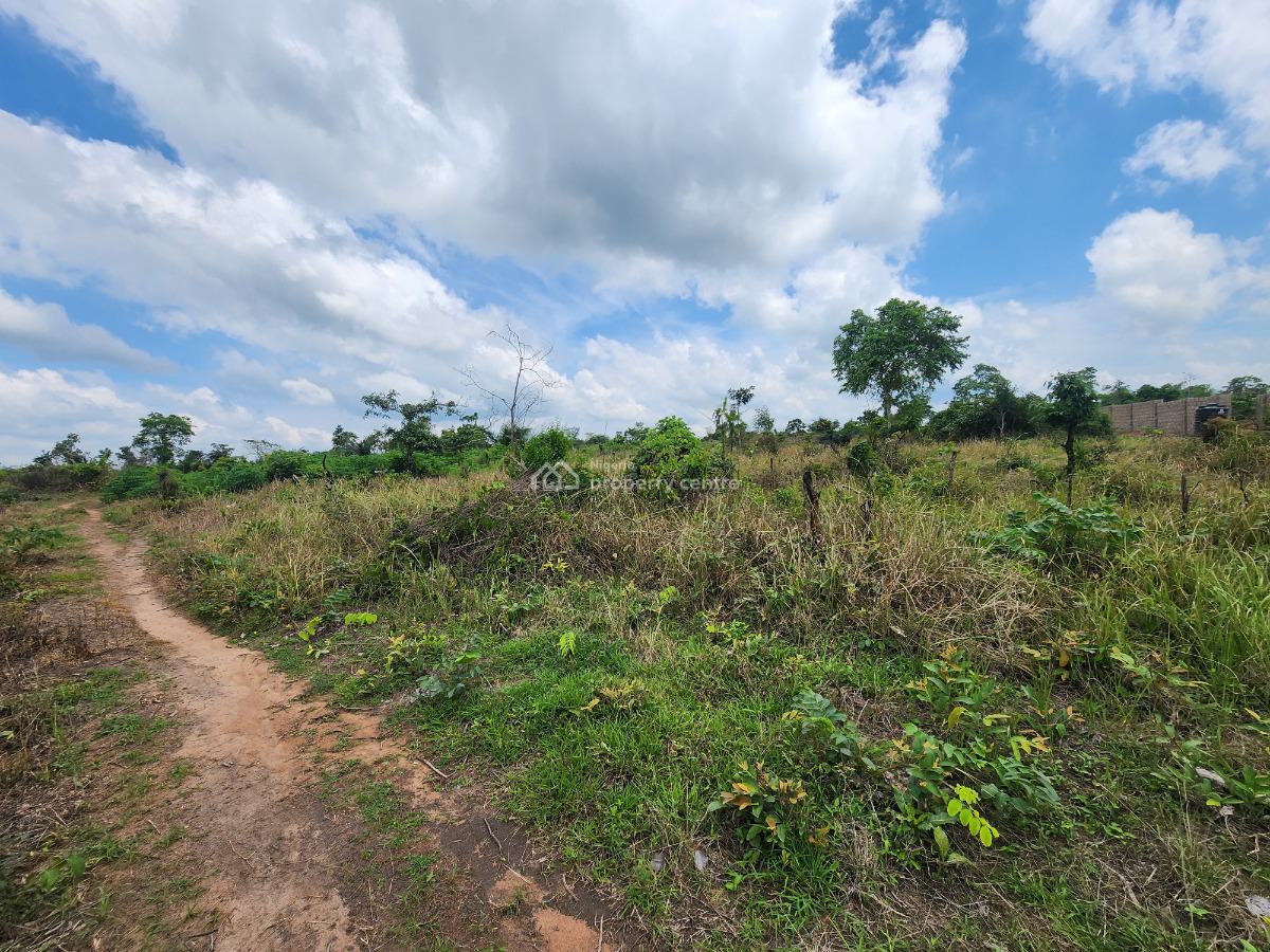 a Safe and Secure Way to Earn From Agriculture, Off Funaab, Alabata Road, Odeda, Ogun, Mixed-use Land for Sale