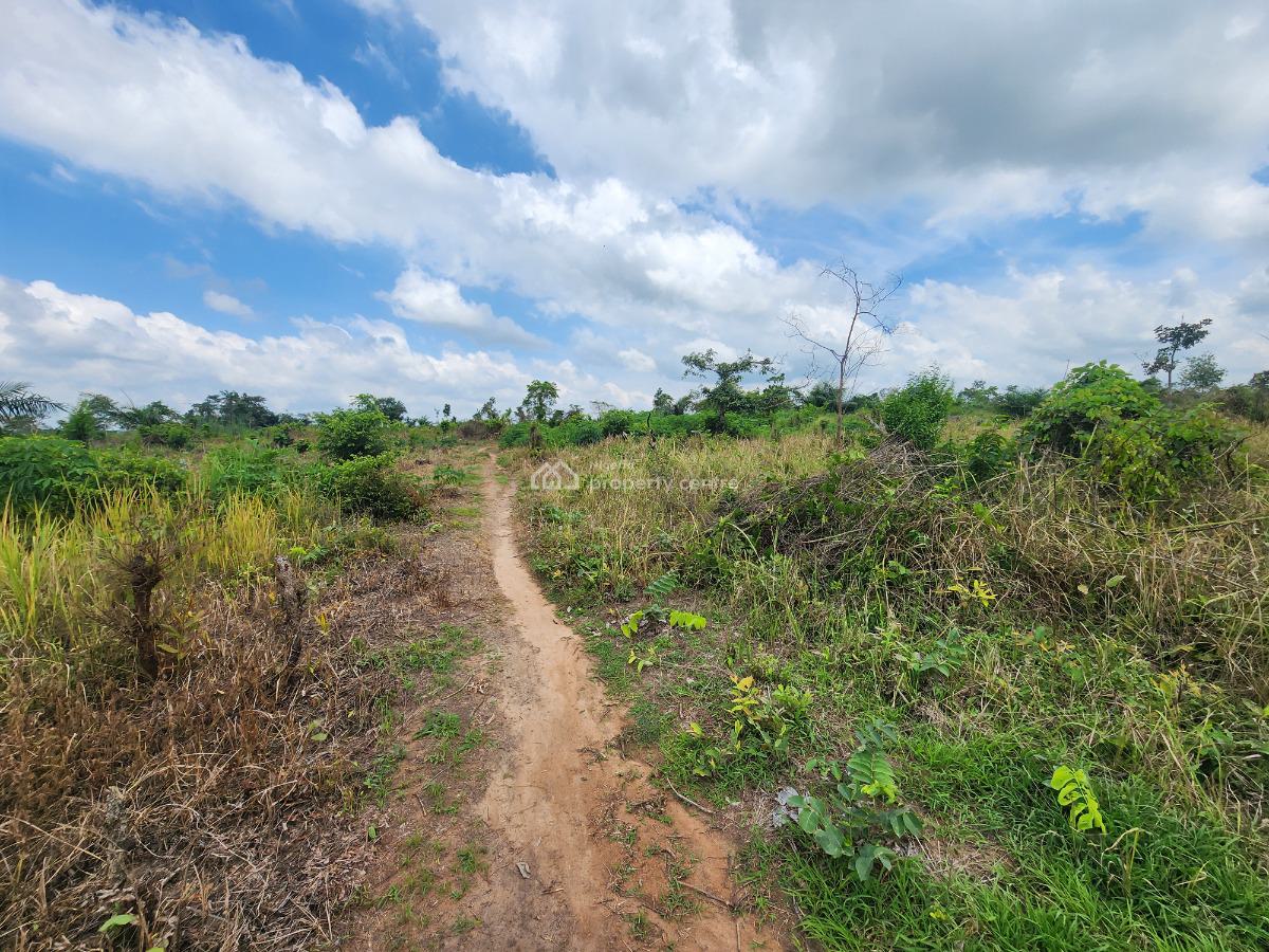 a Safe and Secure Way to Earn From Agriculture, Off Funaab, Alabata Road, Odeda, Ogun, Mixed-use Land for Sale
