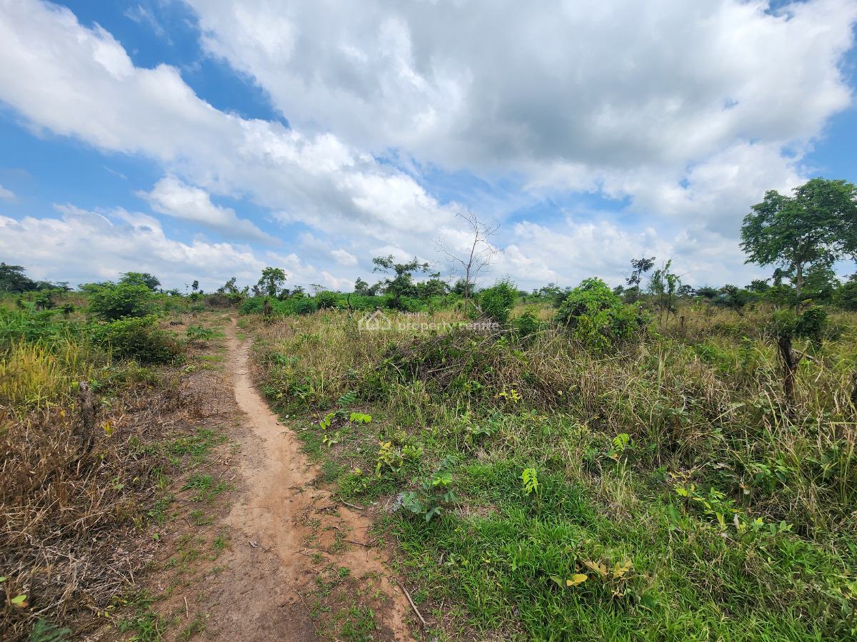 Farm Investment That Brings Real and Tangible Profit, Off Funaab, Alabata Road, Odeda, Ogun, Mixed-use Land for Sale