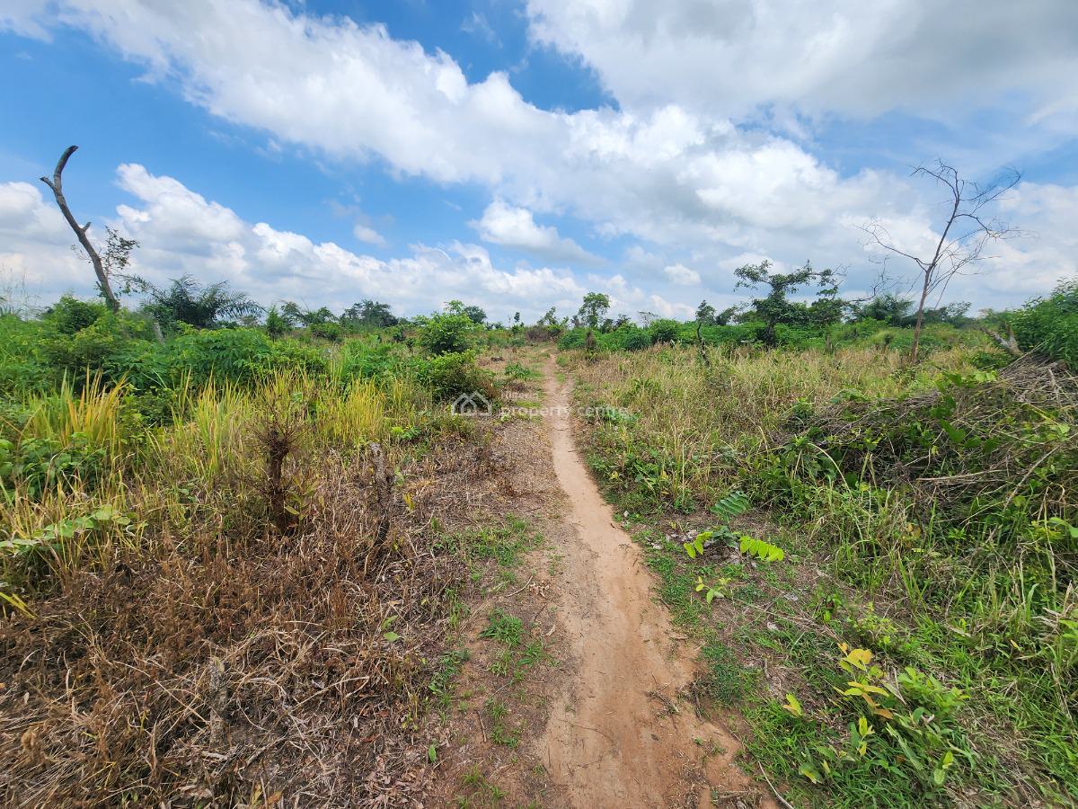 Farm Investment That Brings Real and Tangible Profit, Off Funaab, Alabata Road, Odeda, Ogun, Mixed-use Land for Sale