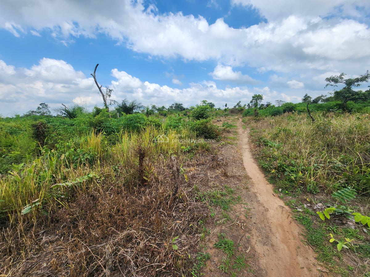 Farm Investment That Brings Real and Tangible Profit, Off Funaab, Alabata Road, Odeda, Ogun, Mixed-use Land for Sale