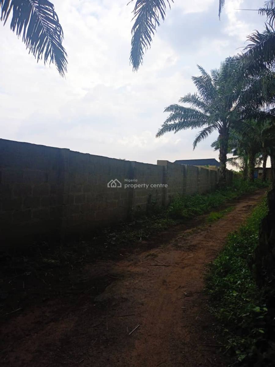 Farmland of Palm Trees Plantation on 130 Acres of Land with C of O, Farmland with Palmtrees @ Ofada Axis, Mowe Ofada, Ogun, Land for Sale
