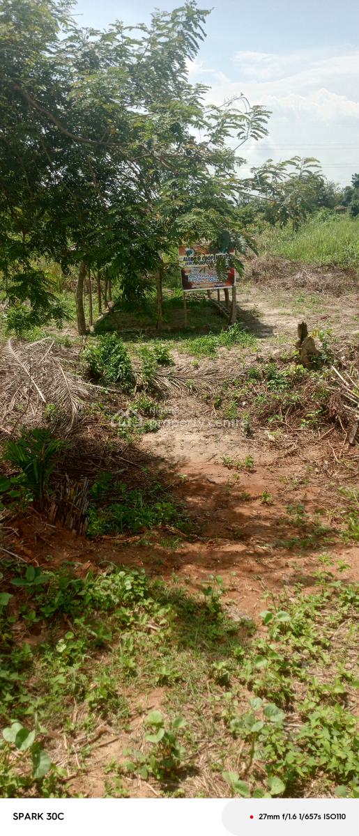 Acres of Land, Off Obafe Road, Obafemi Owode, Ogun, Land for Sale