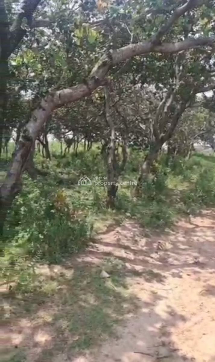 13 Hectares of Dry Land, Karsana West, Karsana, Abuja, Mixed-use Land for Sale