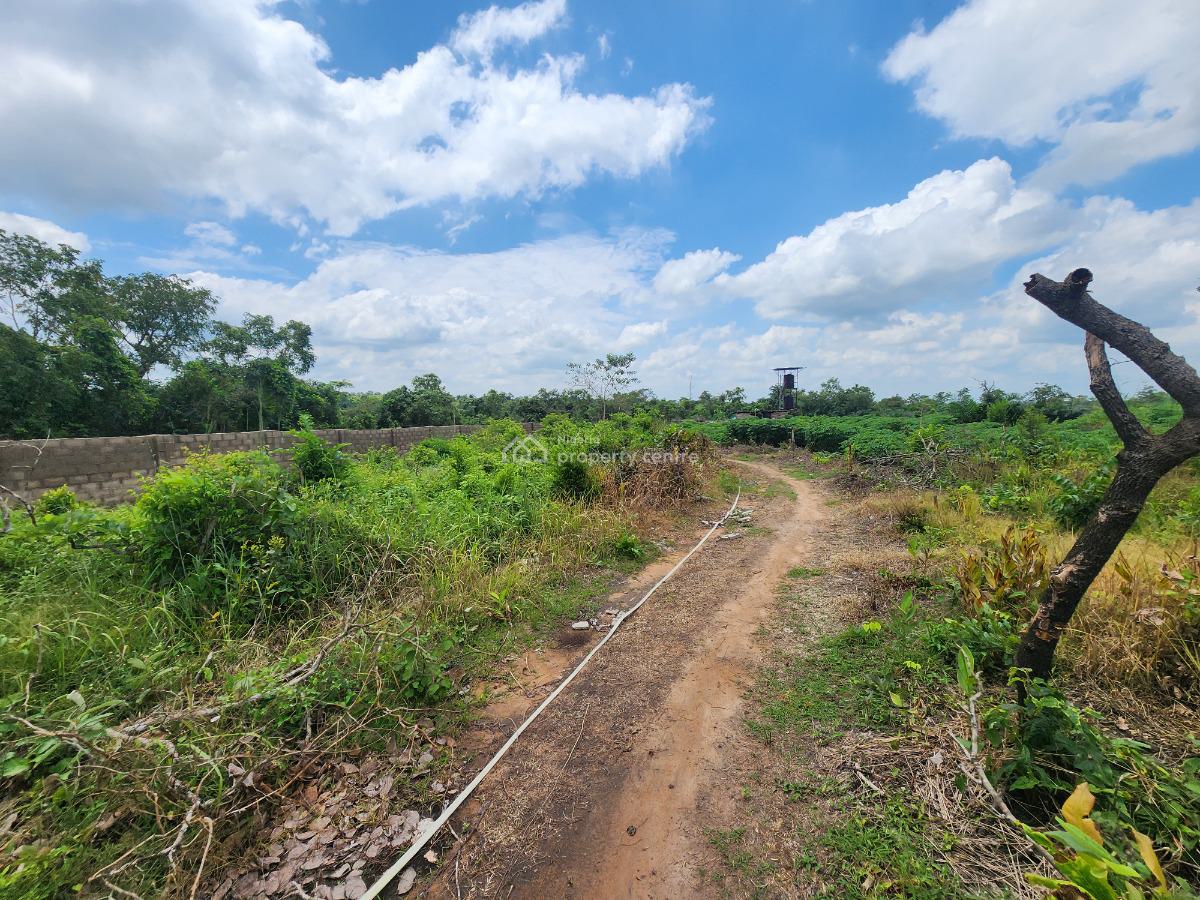 Grow Wealth From The Ground Up with Farmland, Off Funaab, Alabata Road, Odeda, Ogun, Mixed-use Land for Sale