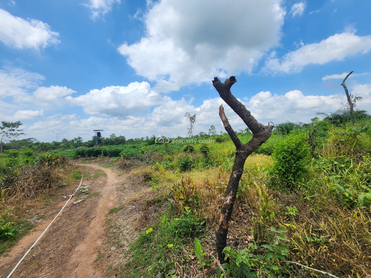 Grow Wealth From The Ground Up with Farmland, Off Funaab, Alabata Road, Odeda, Ogun, Mixed-use Land for Sale