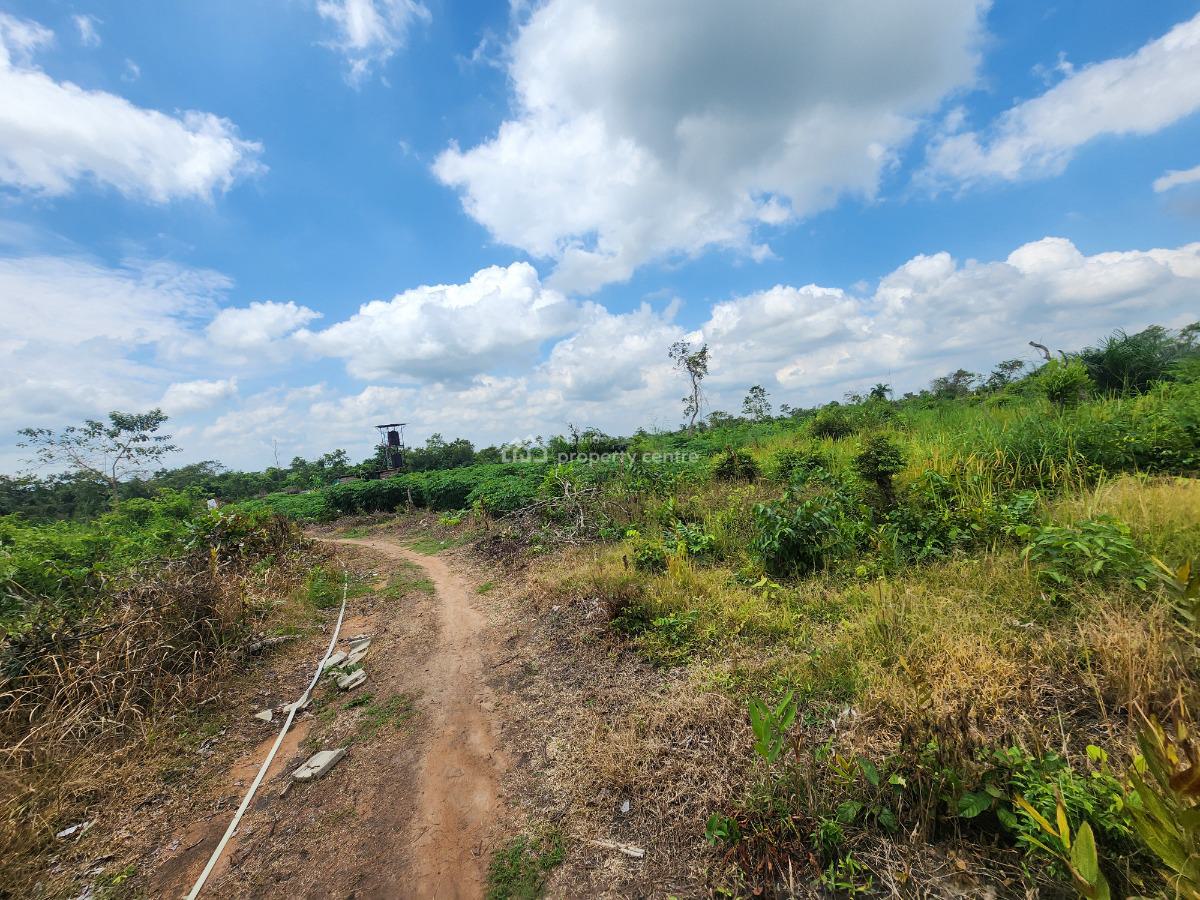 Turn Farmland Into a Lifetime Source of Income, Off Funaab, Alabata Road, Odeda, Ogun, Mixed-use Land for Sale