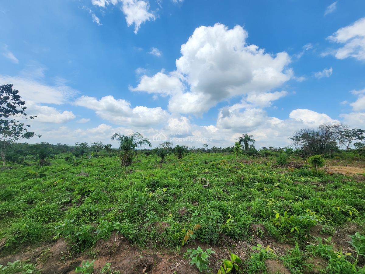 Agriculture Made Simple, Invest and Earn, Off Funaab, Alabata Road, Odeda, Ogun, Mixed-use Land for Sale