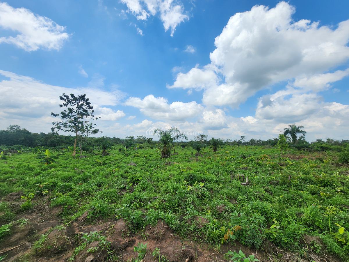 Agriculture Made Simple, Invest and Earn, Off Funaab, Alabata Road, Odeda, Ogun, Mixed-use Land for Sale