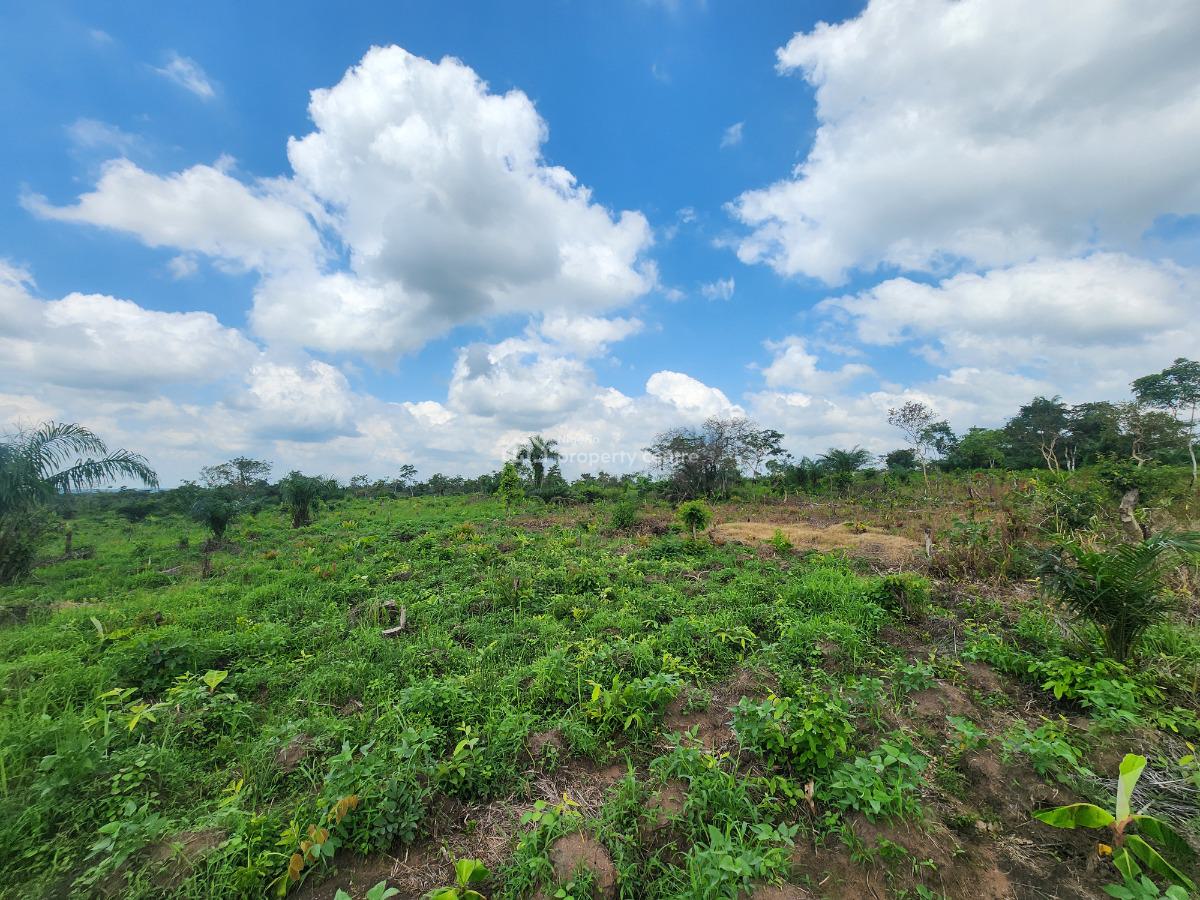 Agriculture Made Simple, Invest and Earn, Off Funaab, Alabata Road, Odeda, Ogun, Mixed-use Land for Sale