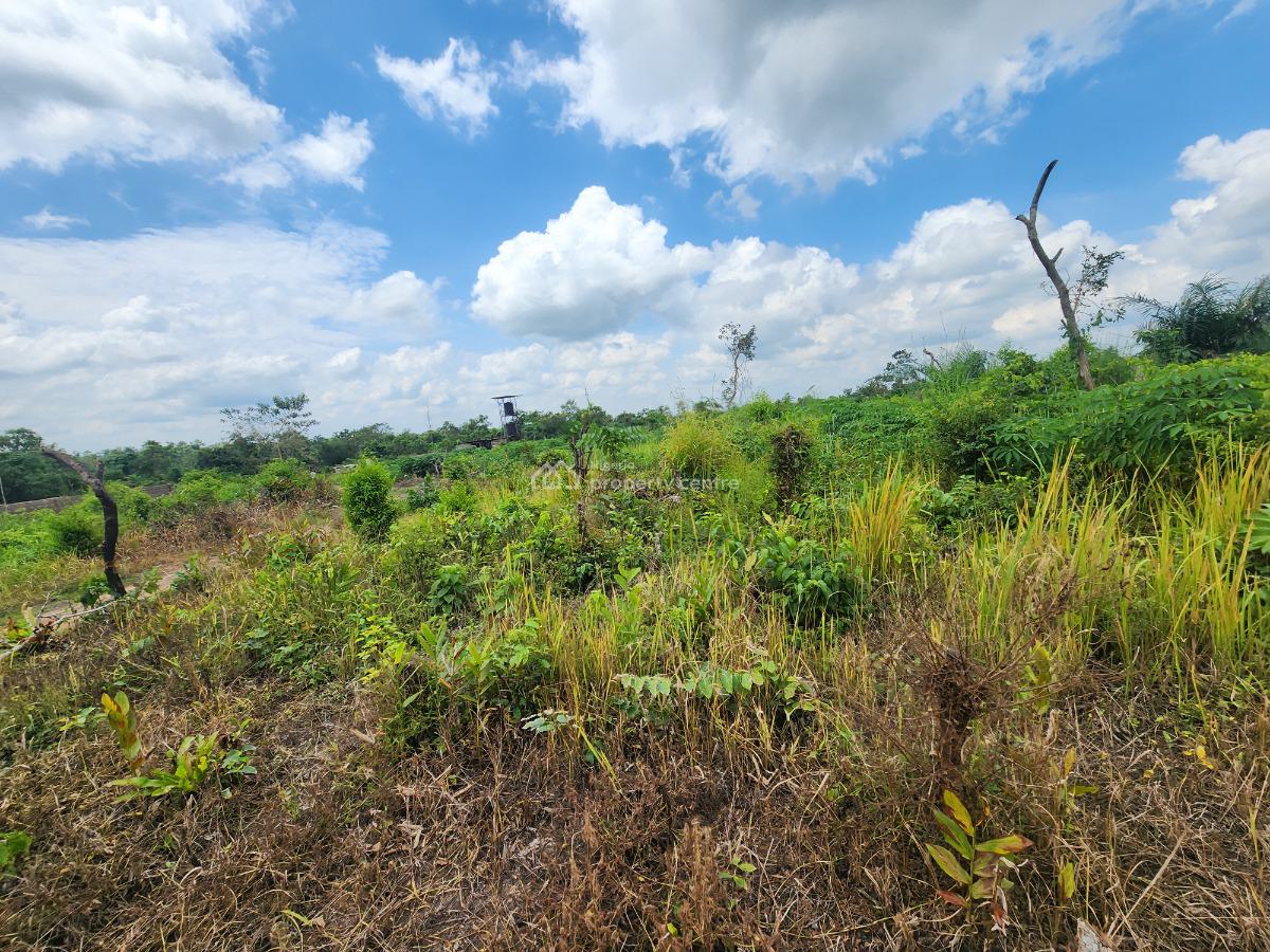 Make Money From Farming Without Doing The Work, Off Funaab, Alabata Road, Odeda, Ogun, Mixed-use Land for Sale