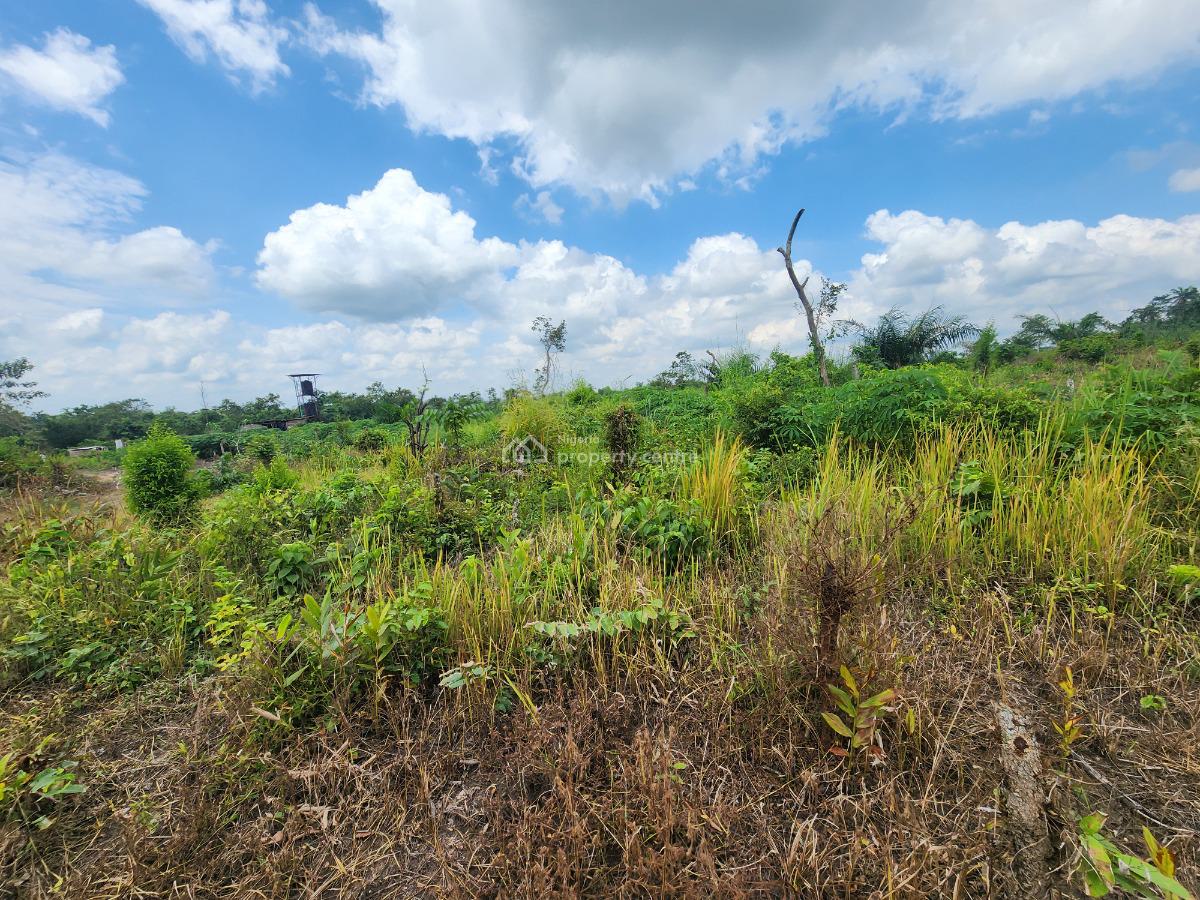 Make Money From Farming Without Doing The Work, Off Funaab, Alabata Road, Odeda, Ogun, Mixed-use Land for Sale