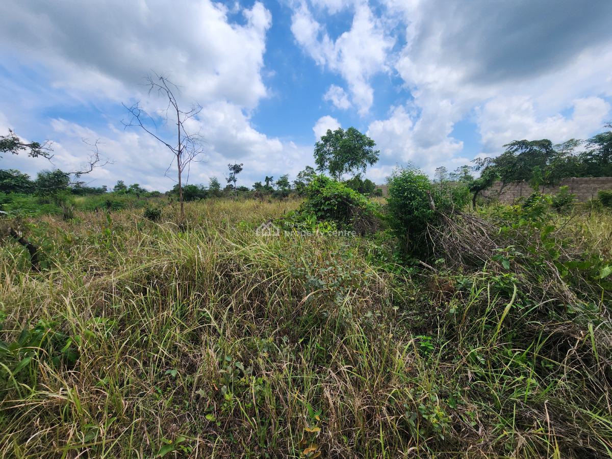 Make Money From Farming Without Doing The Work, Off Funaab, Alabata Road, Odeda, Ogun, Mixed-use Land for Sale