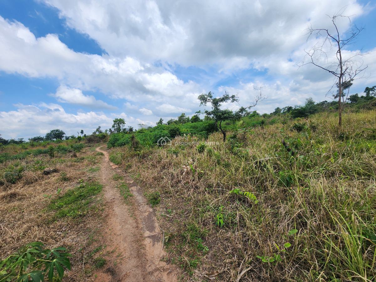 Own Farmland and Earn Steady Agricultural Returns, Off Funaab, Alabata Road, Odeda, Ogun, Mixed-use Land for Sale