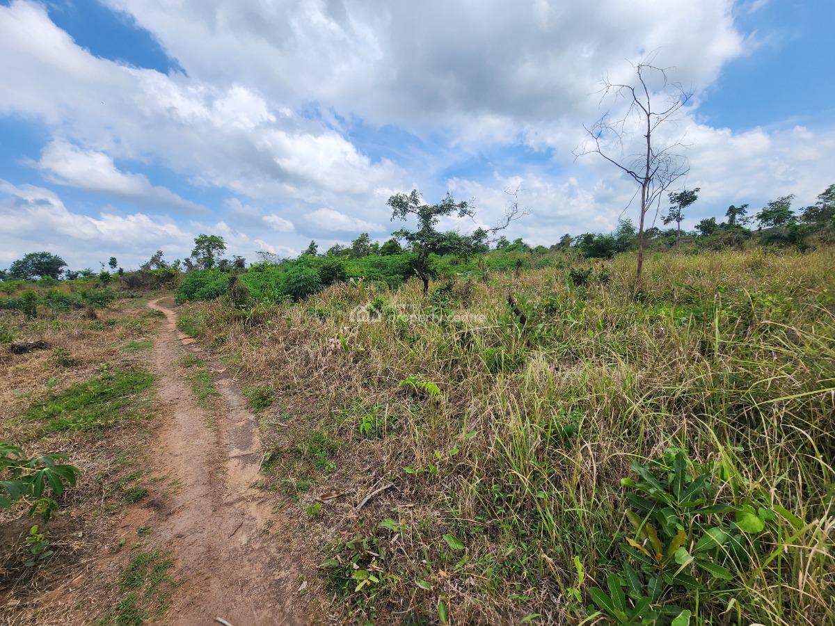 Own Farmland and Earn Steady Agricultural Returns, Off Funaab, Alabata Road, Odeda, Ogun, Mixed-use Land for Sale
