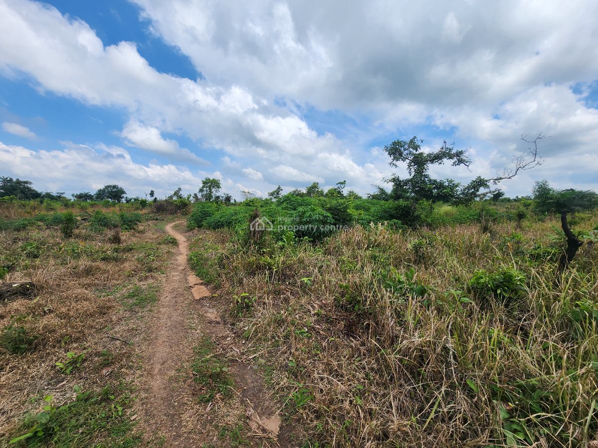 Own Farmland and Earn Steady Agricultural Returns, Off Funaab, Alabata Road, Odeda, Ogun, Mixed-use Land for Sale