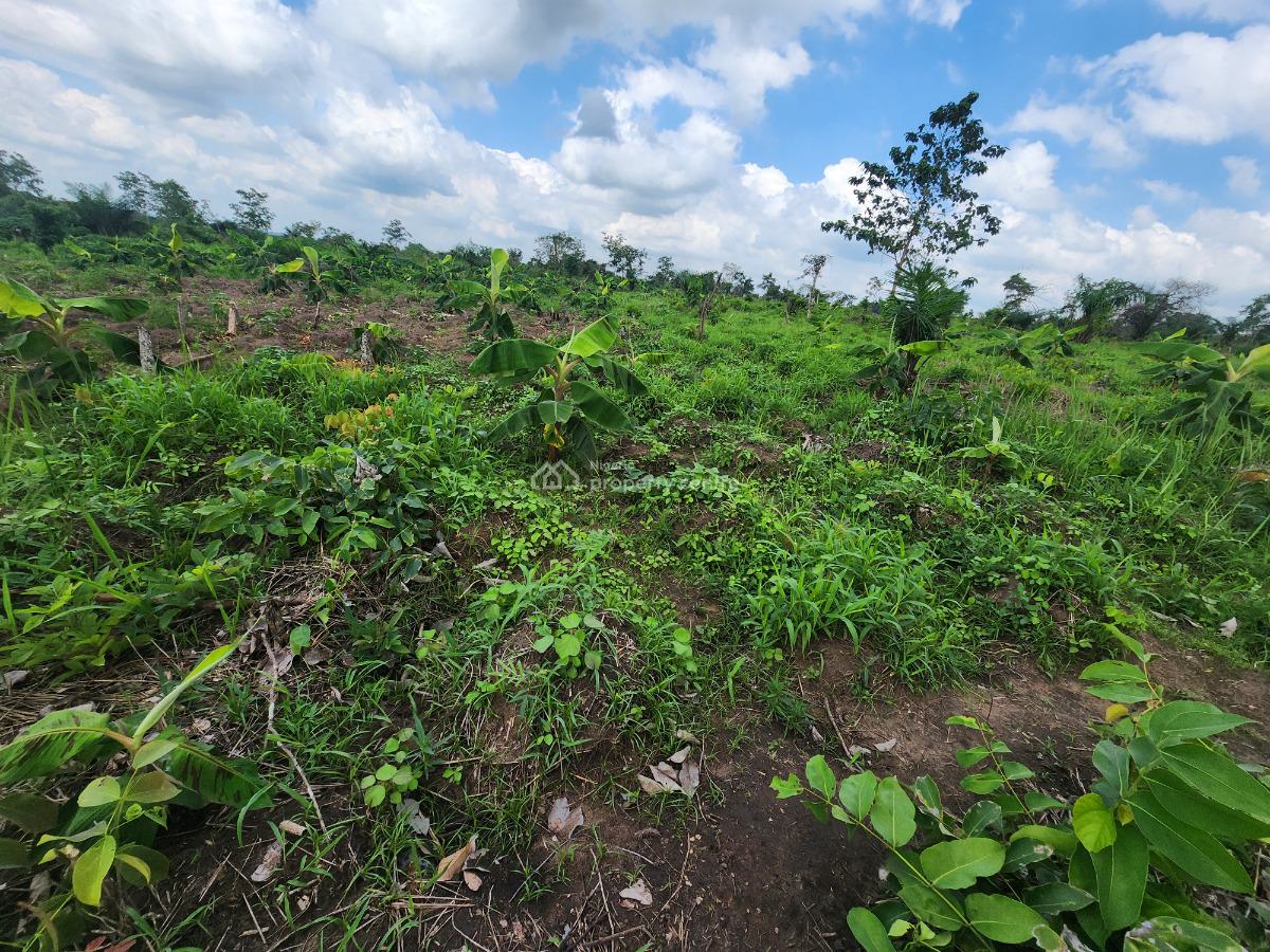 Farm Ownership That Guarantees You Profit Every Season, Off Funaab, Alabata Road, Odeda, Ogun, Mixed-use Land for Sale