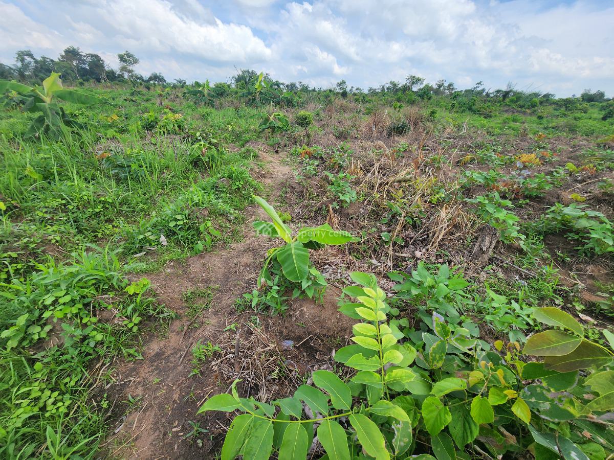 Farm Ownership That Guarantees You Profit Every Season, Off Funaab, Alabata Road, Odeda, Ogun, Mixed-use Land for Sale