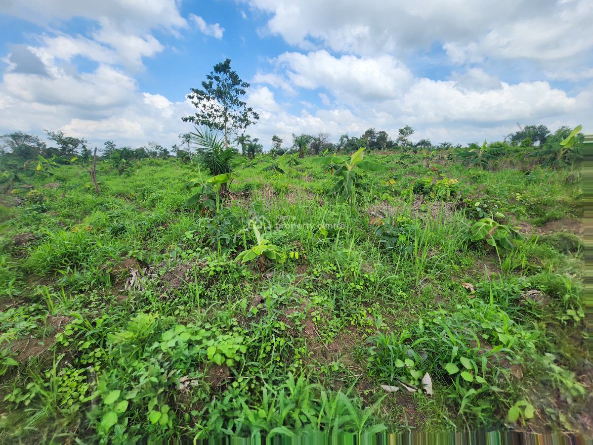 Farm Ownership That Guarantees You Profit Every Season, Off Funaab, Alabata Road, Odeda, Ogun, Mixed-use Land for Sale