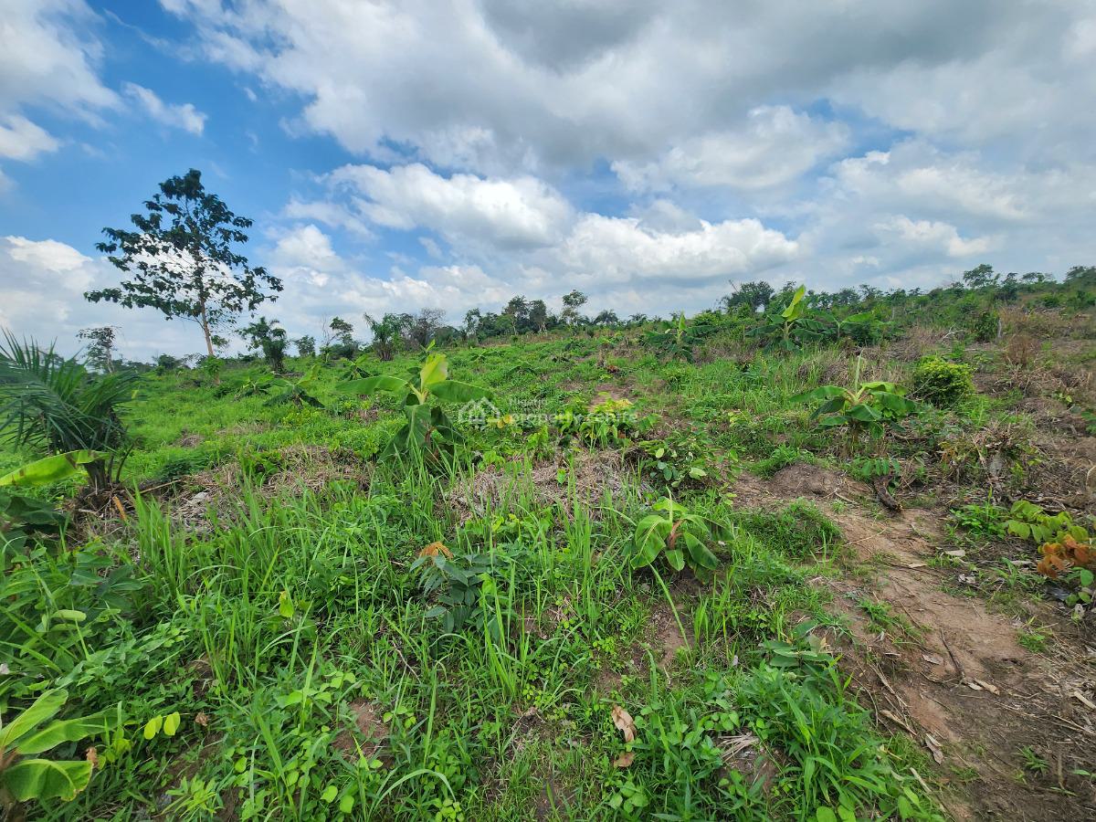 Invest Once, Harvest Profits for Years, Off Funaab, Alabata Road, Odeda, Ogun, Mixed-use Land for Sale