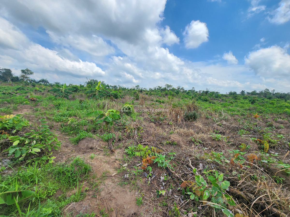 Invest Once, Harvest Profits for Years, Off Funaab, Alabata Road, Odeda, Ogun, Mixed-use Land for Sale