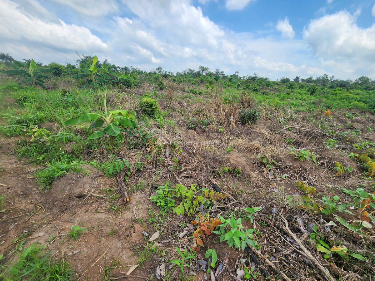 Invest Once, Harvest Profits for Years, Off Funaab, Alabata Road, Odeda, Ogun, Mixed-use Land for Sale