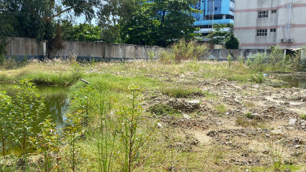 Direct Brief Prime Land Measured 2000sqm, Adeola Odeku, Victoria Island (vi), Lagos, Land for Sale