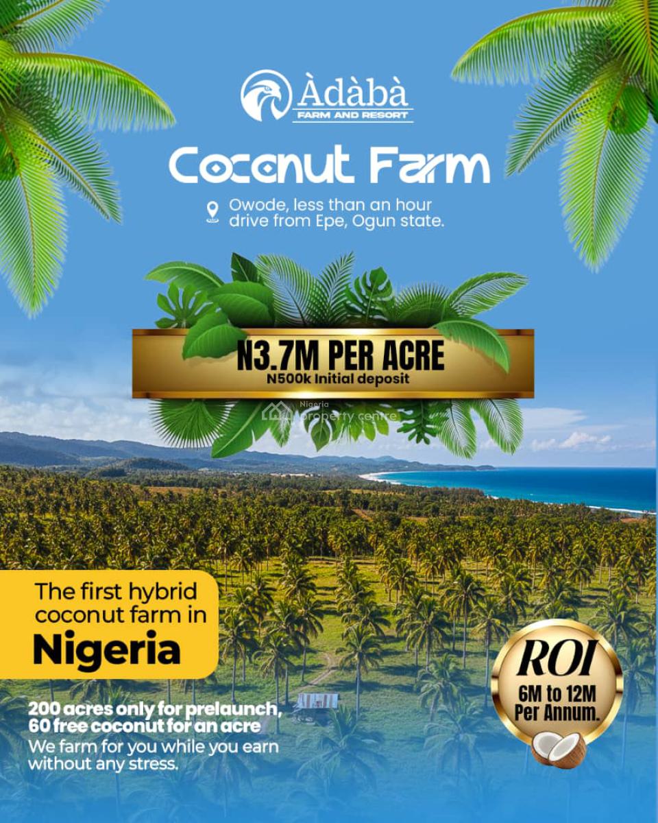Adaba Highbrid Coconut Farm Roi, Annually., Obafemi Owode, Ogun, Land for Sale