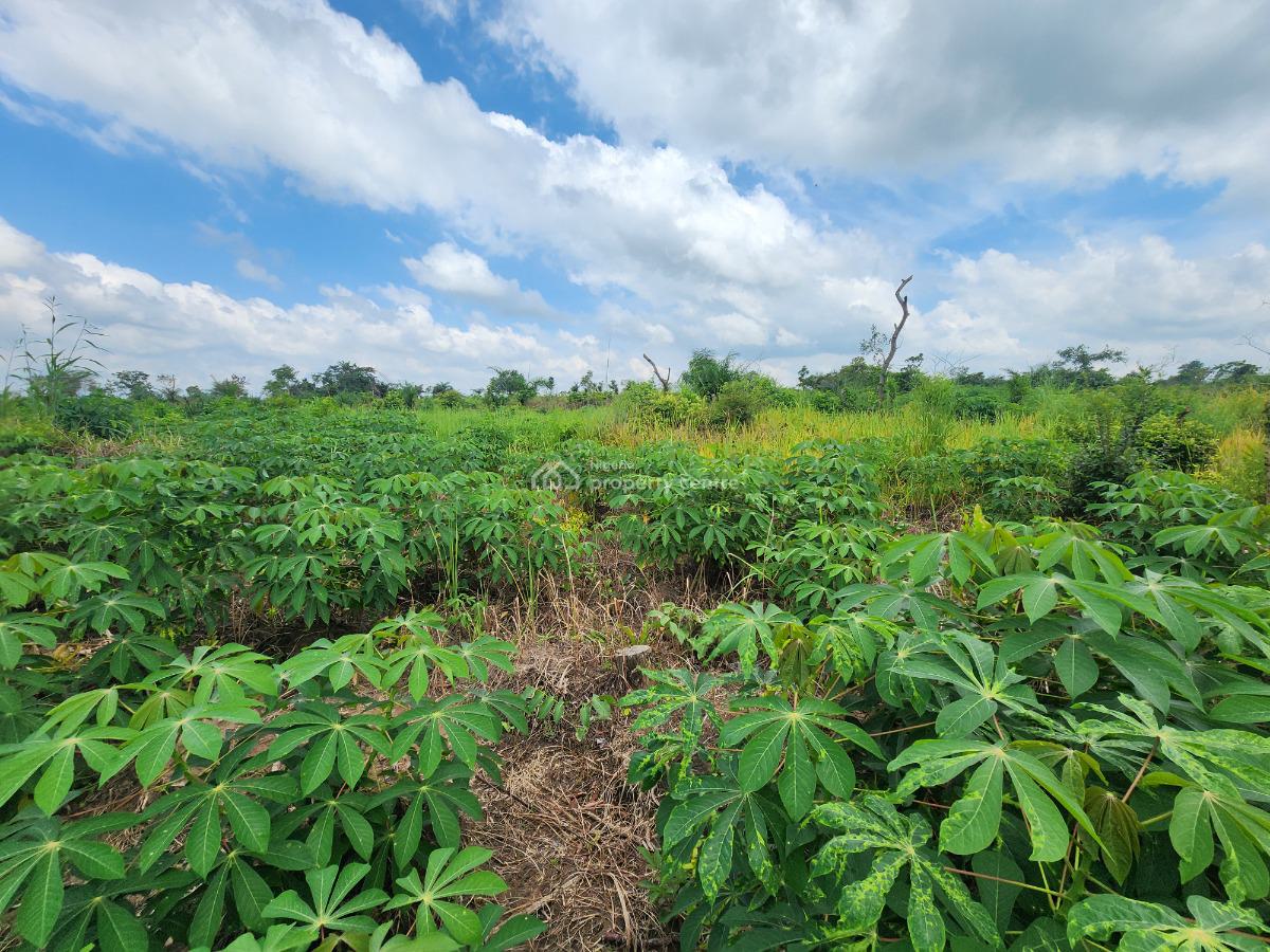 Own Acres of 100% Fertile Land Suitable for Farming, Off Funaab, Alabata Road, Odeda, Ogun, Mixed-use Land for Sale