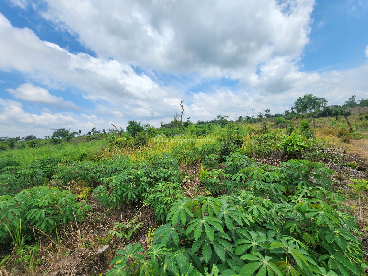 Own Acres of 100% Fertile Land Suitable for Farming, Off Funaab, Alabata Road, Odeda, Ogun, Mixed-use Land for Sale