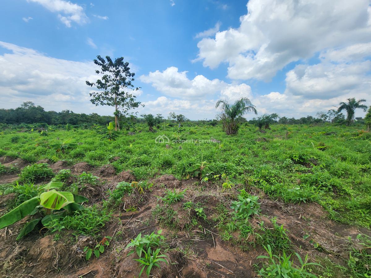 Get Your Own Farm Plots and Start Cultivating, Off Funaab, Alabata Road, Odeda, Ogun, Mixed-use Land for Sale